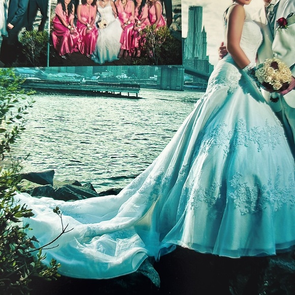 Embroidered Wedding Gown - Picture 4 of 17